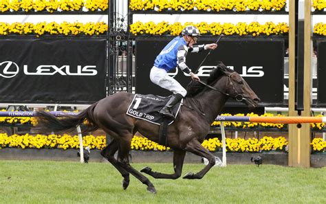 2023 Melbourne Cup Final Field, Barriers & Betting Update.